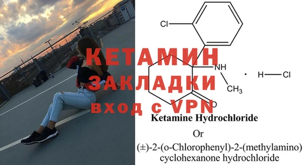 шишки Армянск