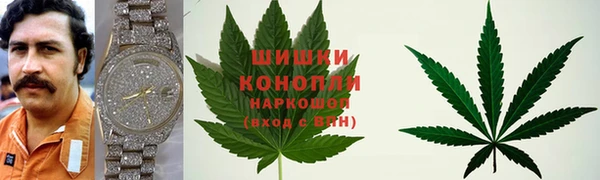 шишки Армянск